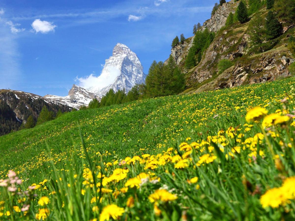 Apartment La Prairie By Interhome Zermatt Exterior photo